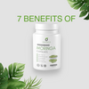 7 Benefits of Organitics Moringa Capsules | Organitics