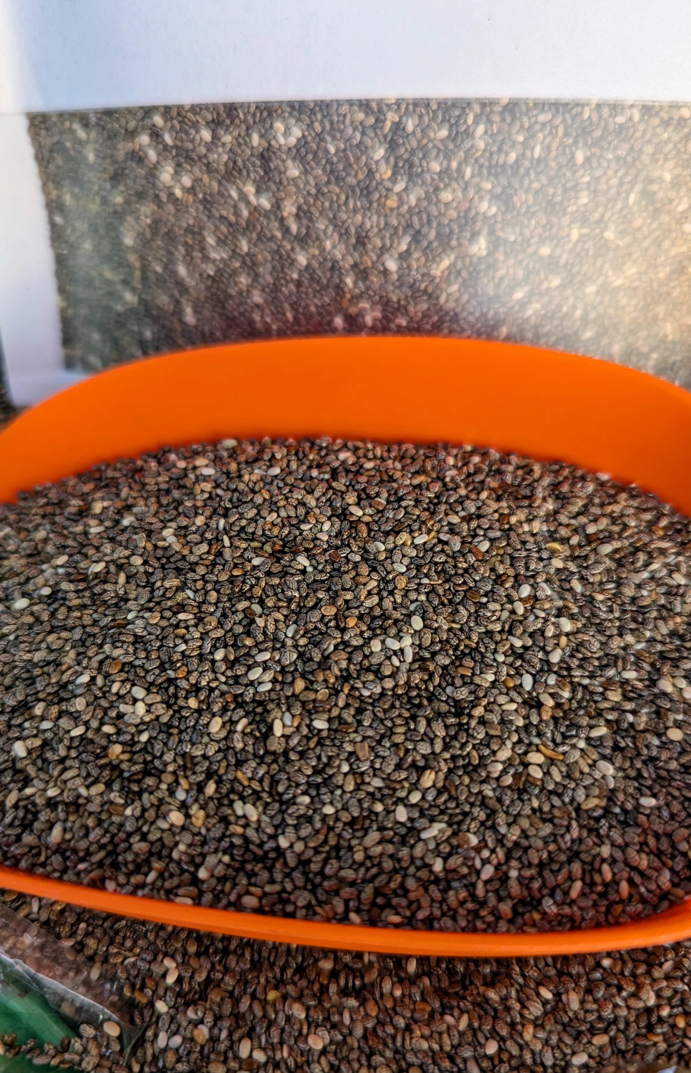 Chia Seeds | 250g