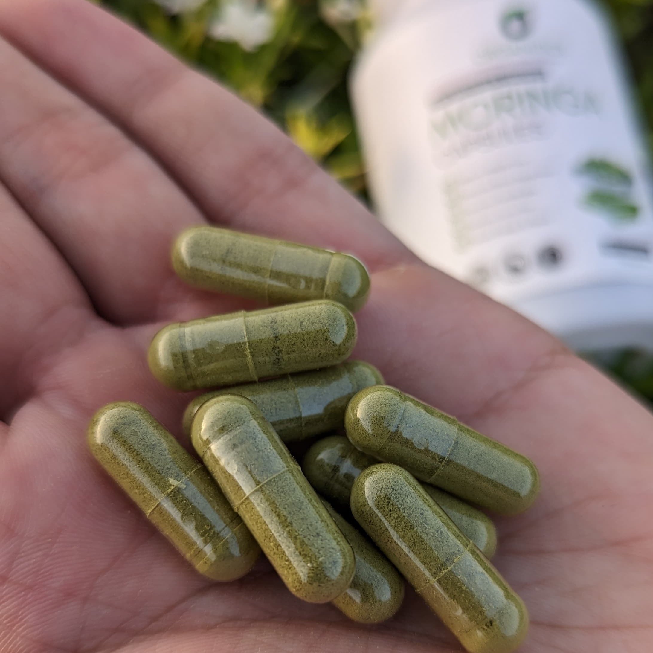 Moringa Capsules [500mg] - 100 Capsules