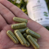 Moringa Powder Capsules | Pack of 2