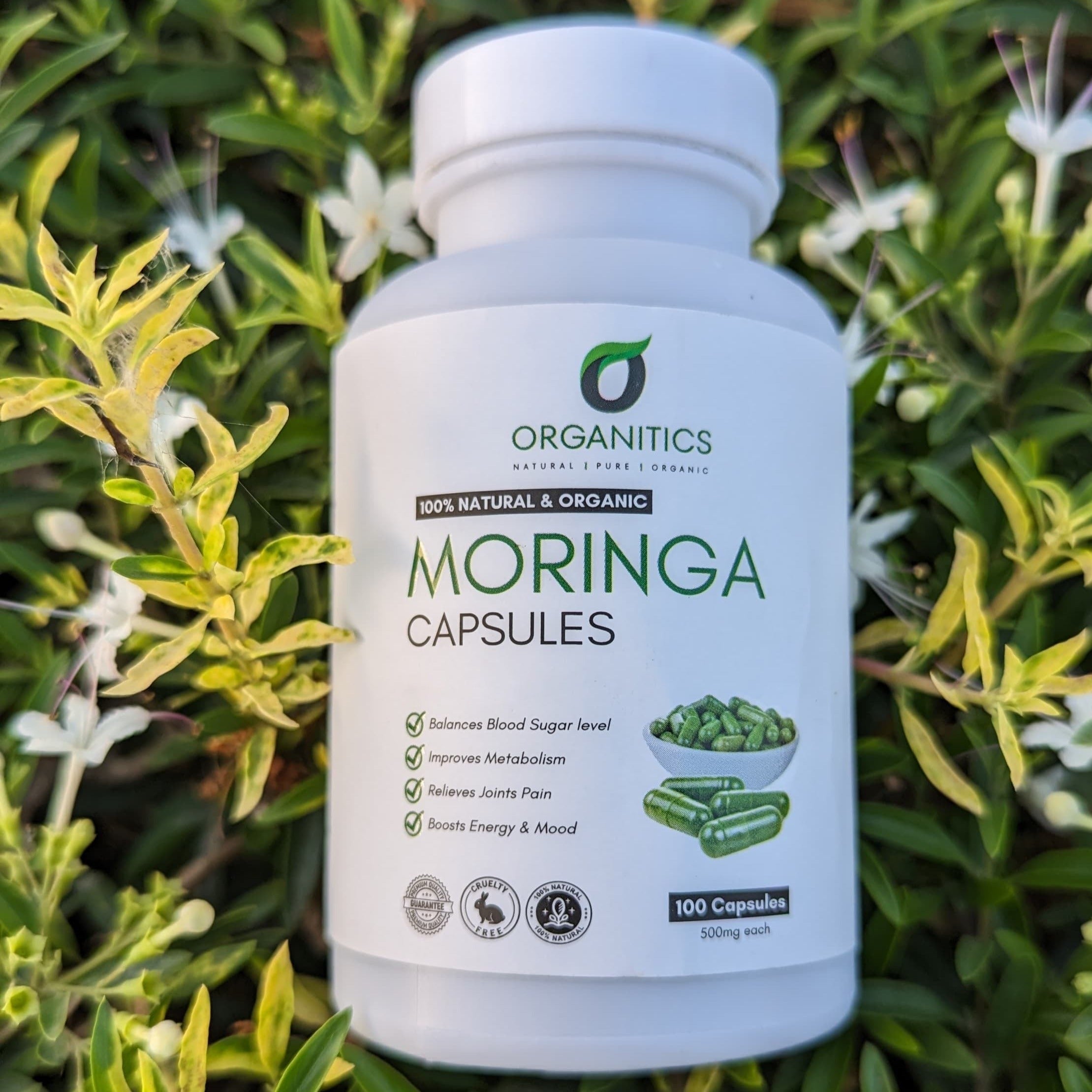 Moringa Capsules [500mg] - 100 Capsules