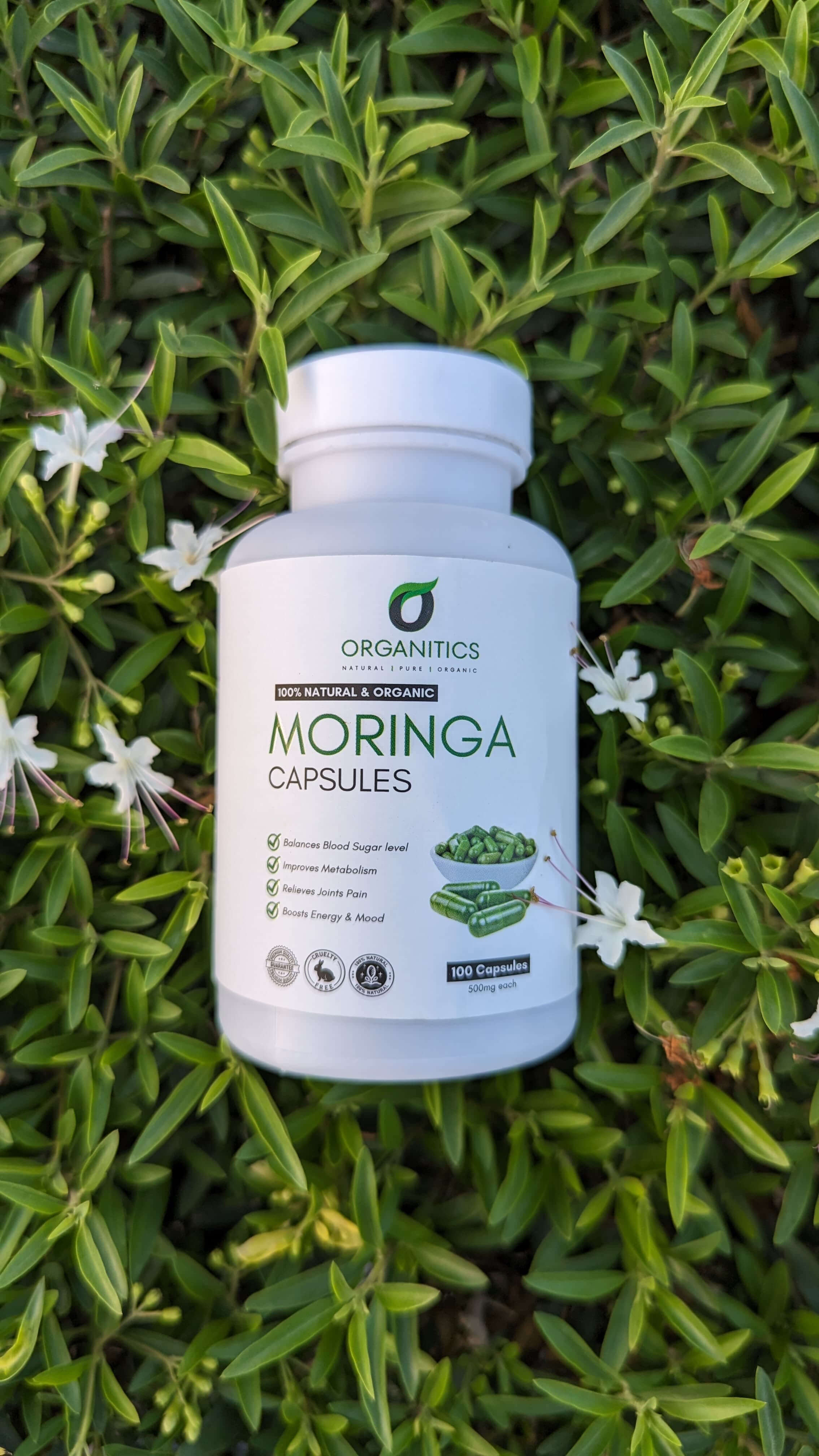 Moringa Powder Capsules | Pack of 4